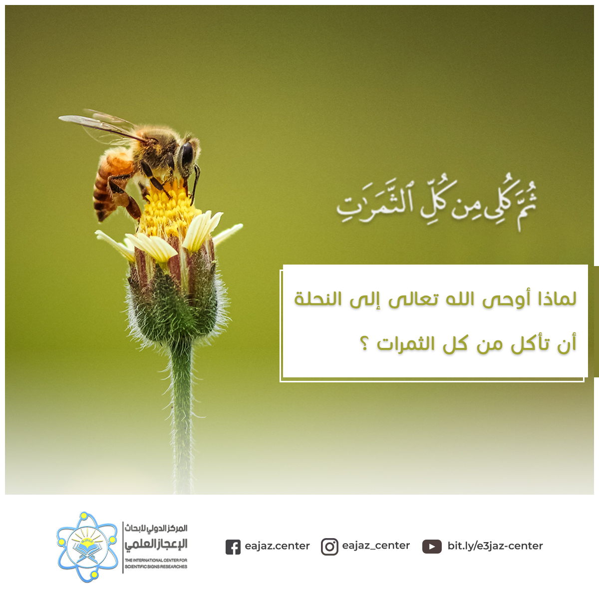ثم كلى من كل الثمرات