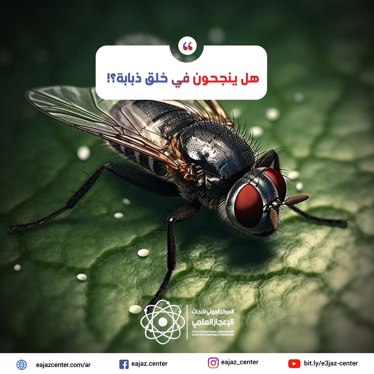هل ينجحون في خلق ذبابة؟!