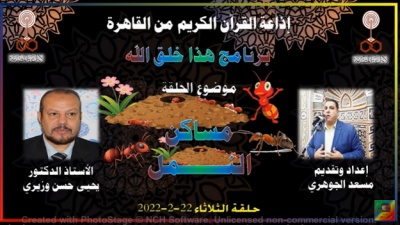 عن مساكن النمل