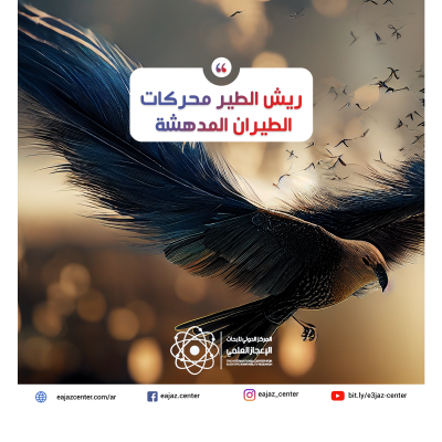 ريش الطير محركات الطيران المدهشة